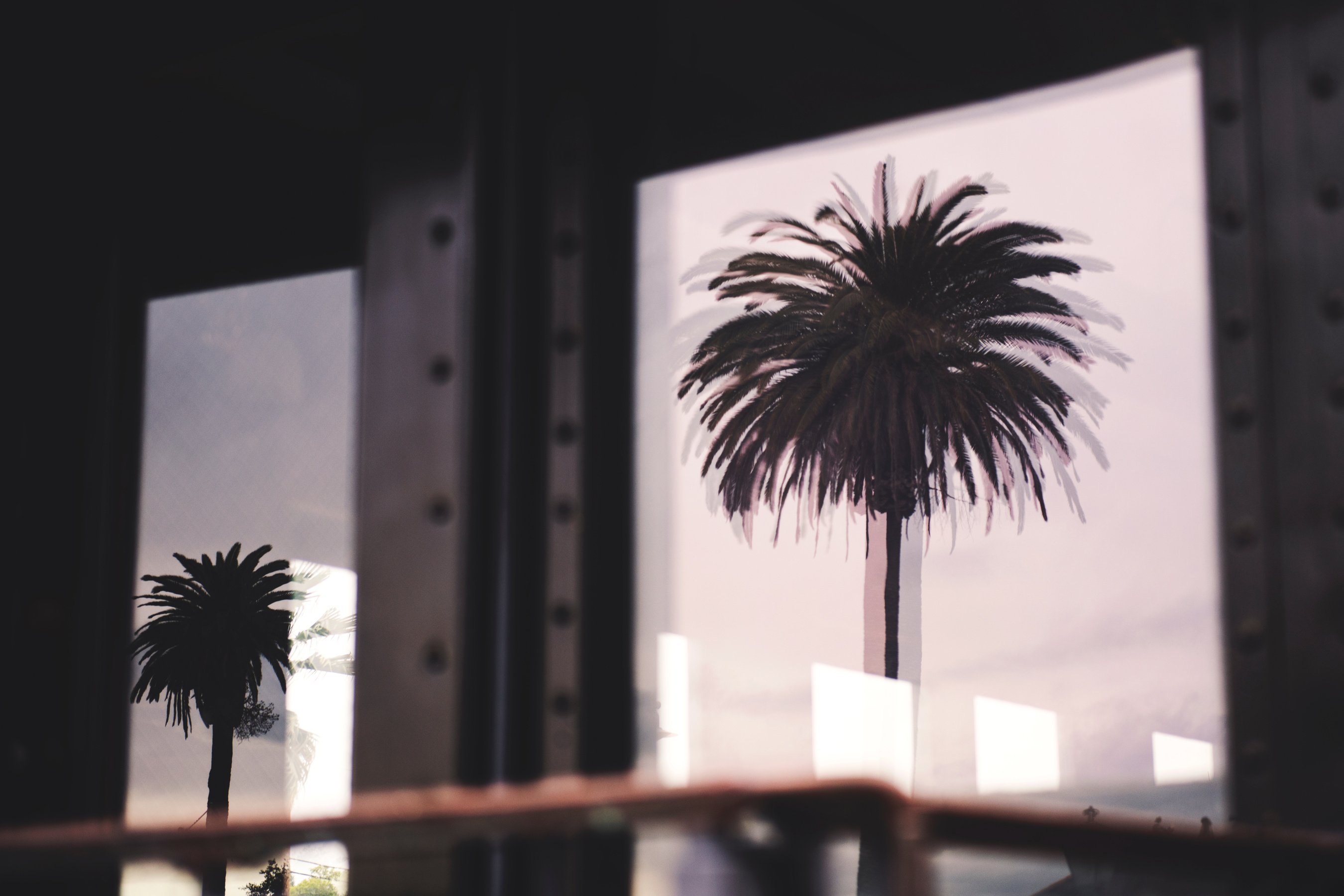 Silhouette Photo of Two Palm Trees