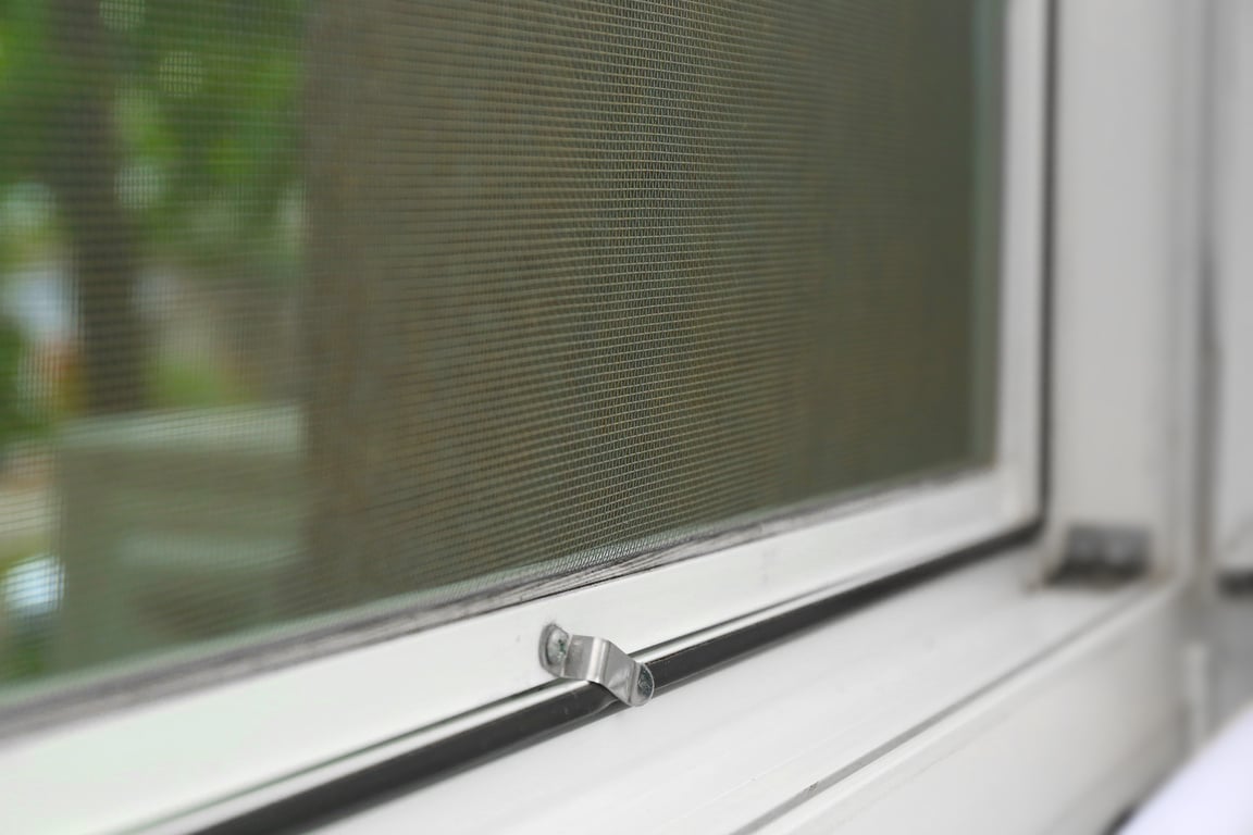 Window with Mosquito Screen Indoors